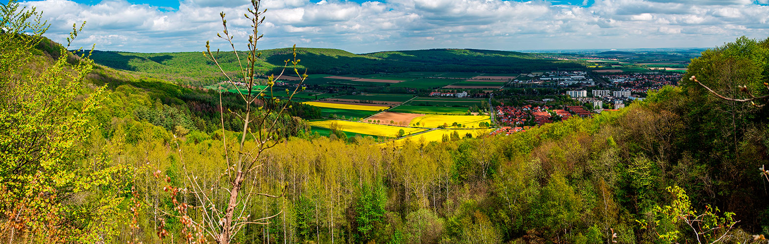 Frühlingsfarben am Deister