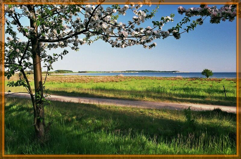 Frühlingsfarben am Greifswalder Bodden