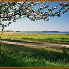 Frühlingsfarben am Greifswalder Bodden