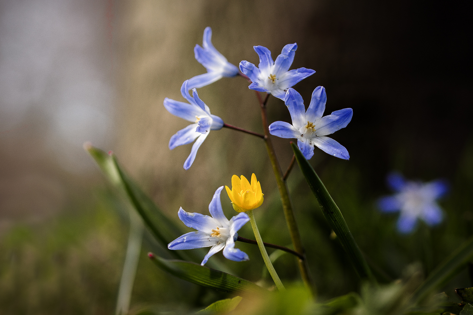 Frühlingsfarben