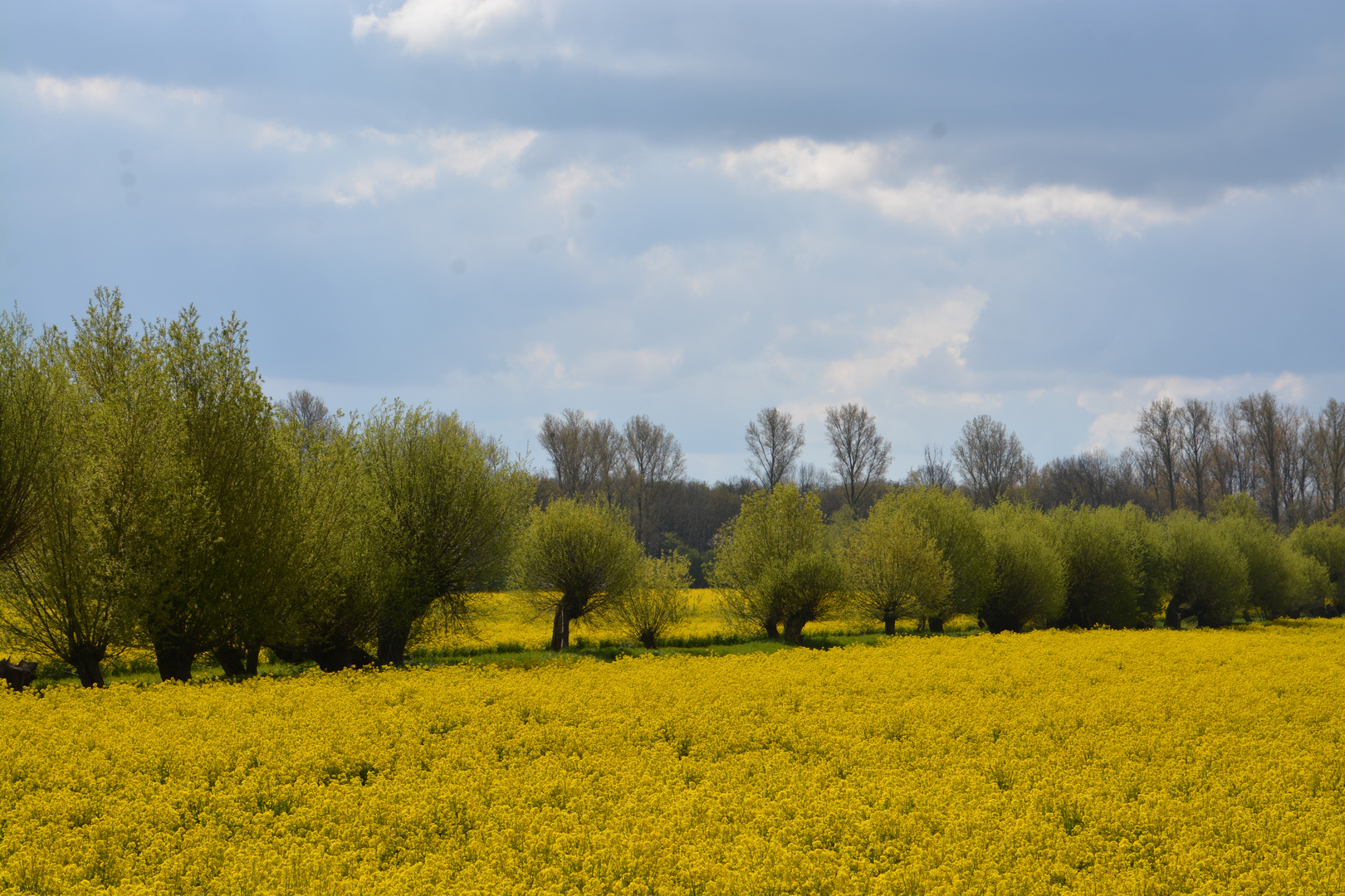 Frühlingsfarben