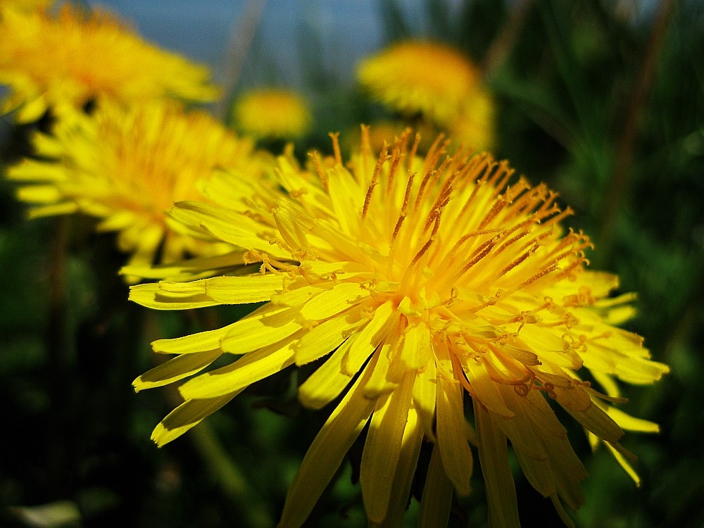 Frühlingsfarben