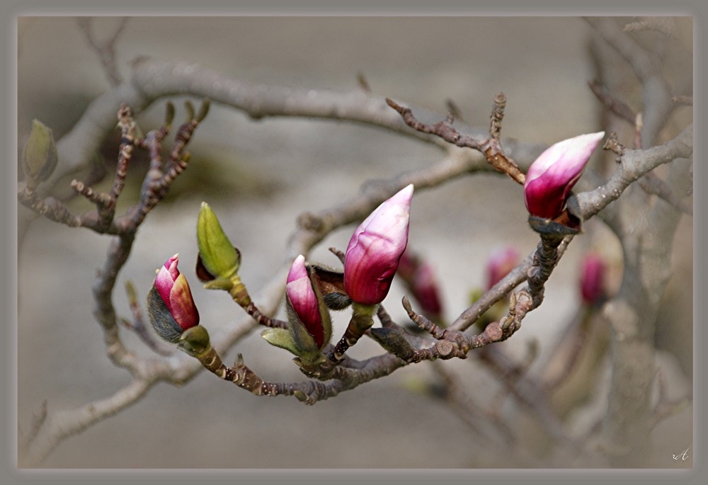 Frühlingsfarben