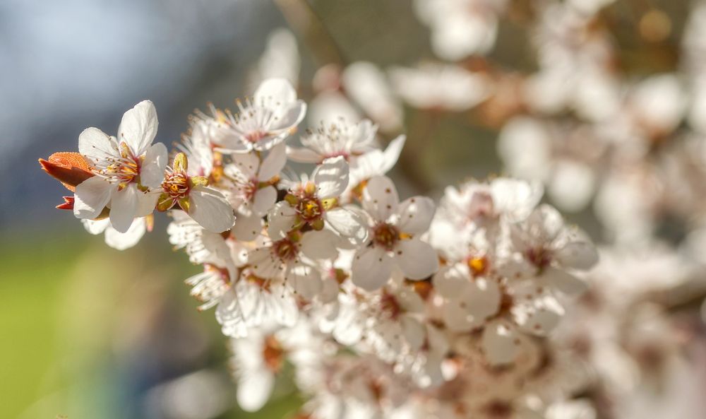 Frühlingsfarben