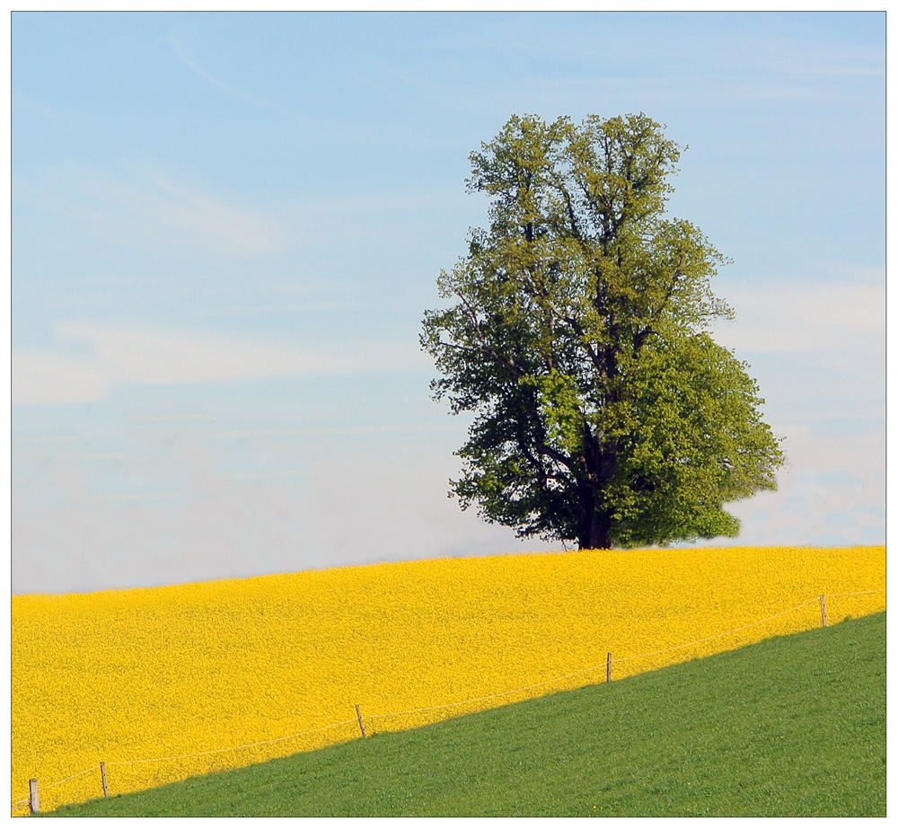 ...frühlingsfarben...