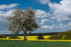 *Frühlingsfarben*