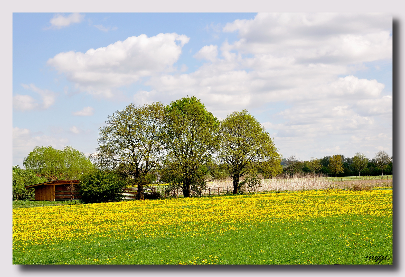 Frühlingsfarben