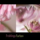 FrühlingsFarben