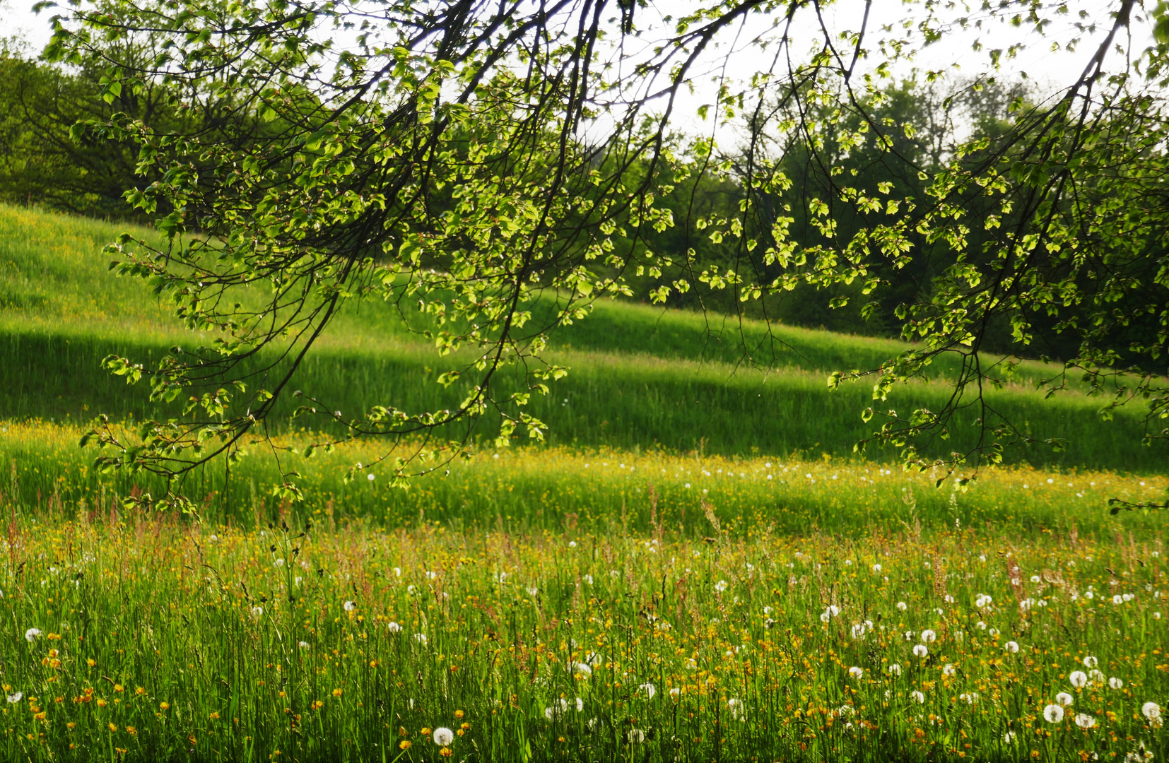 Frühlingsfarben