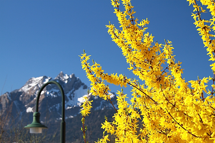 Frühlingsfarben