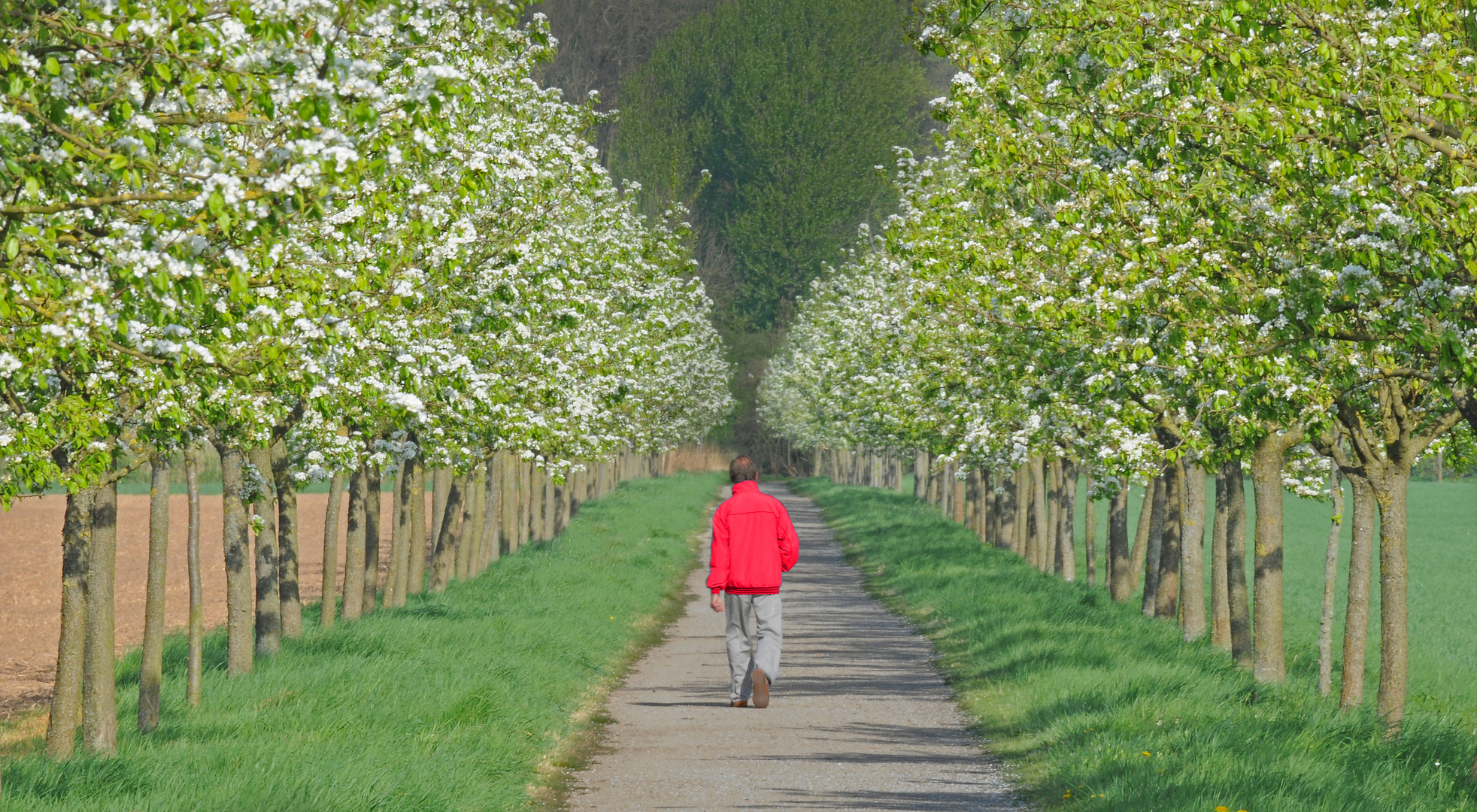 Frühlingsfarben