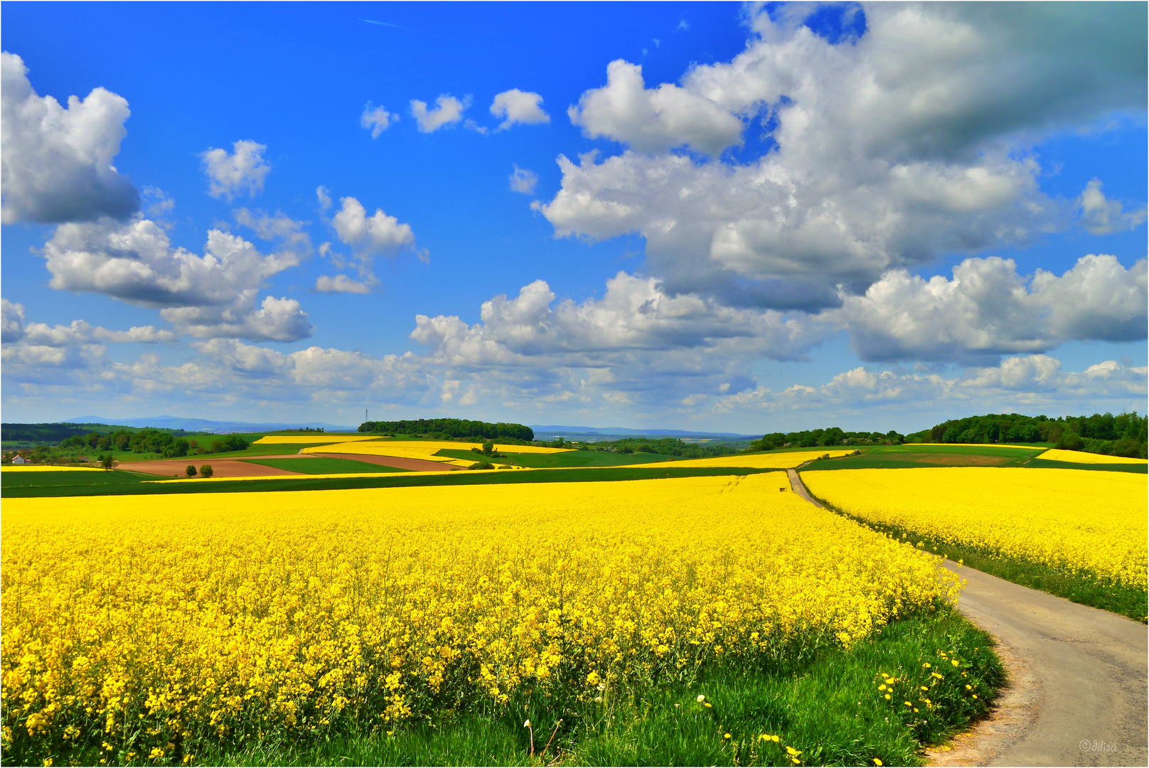 Frühlingsfarben