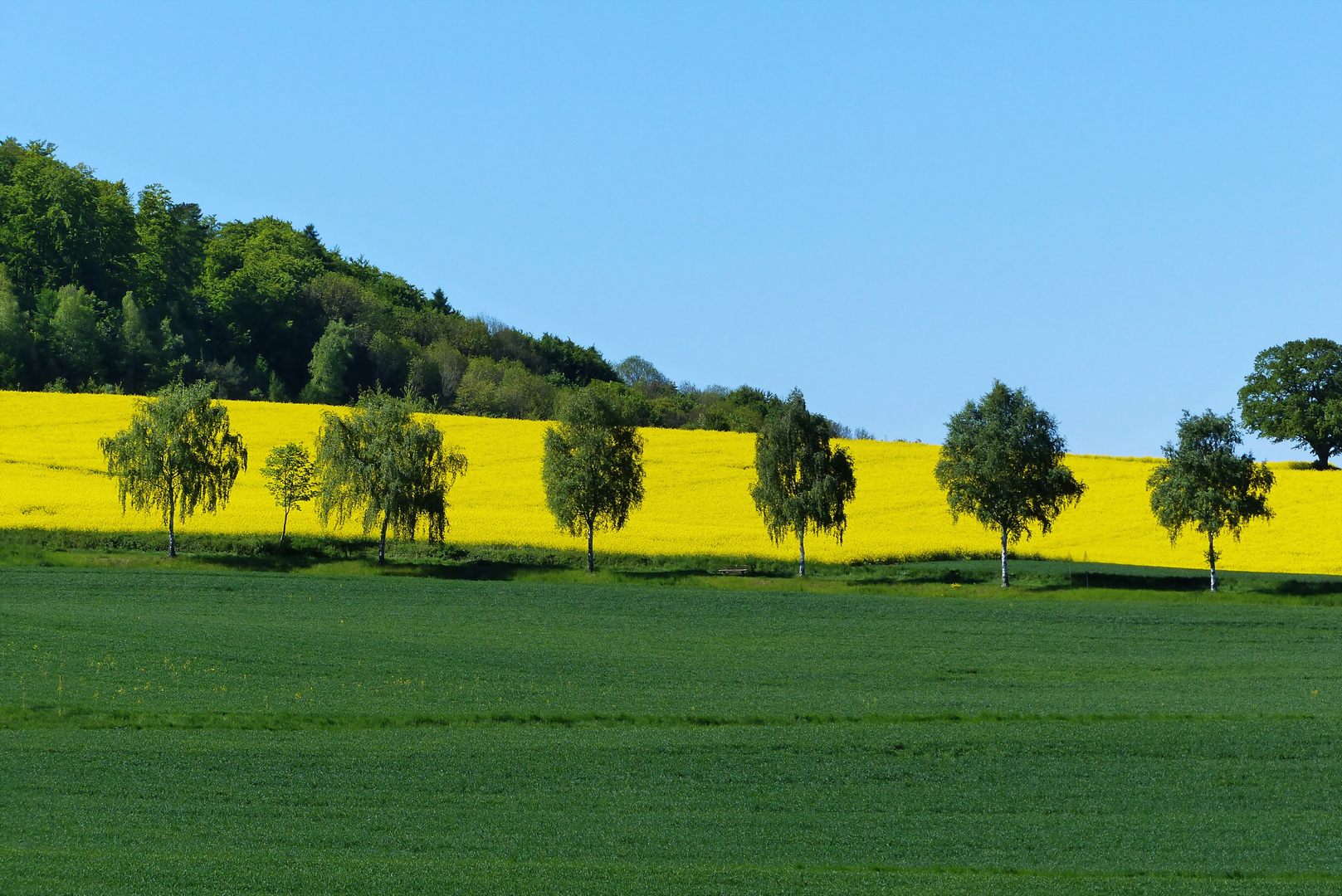 Frühlingsfarben