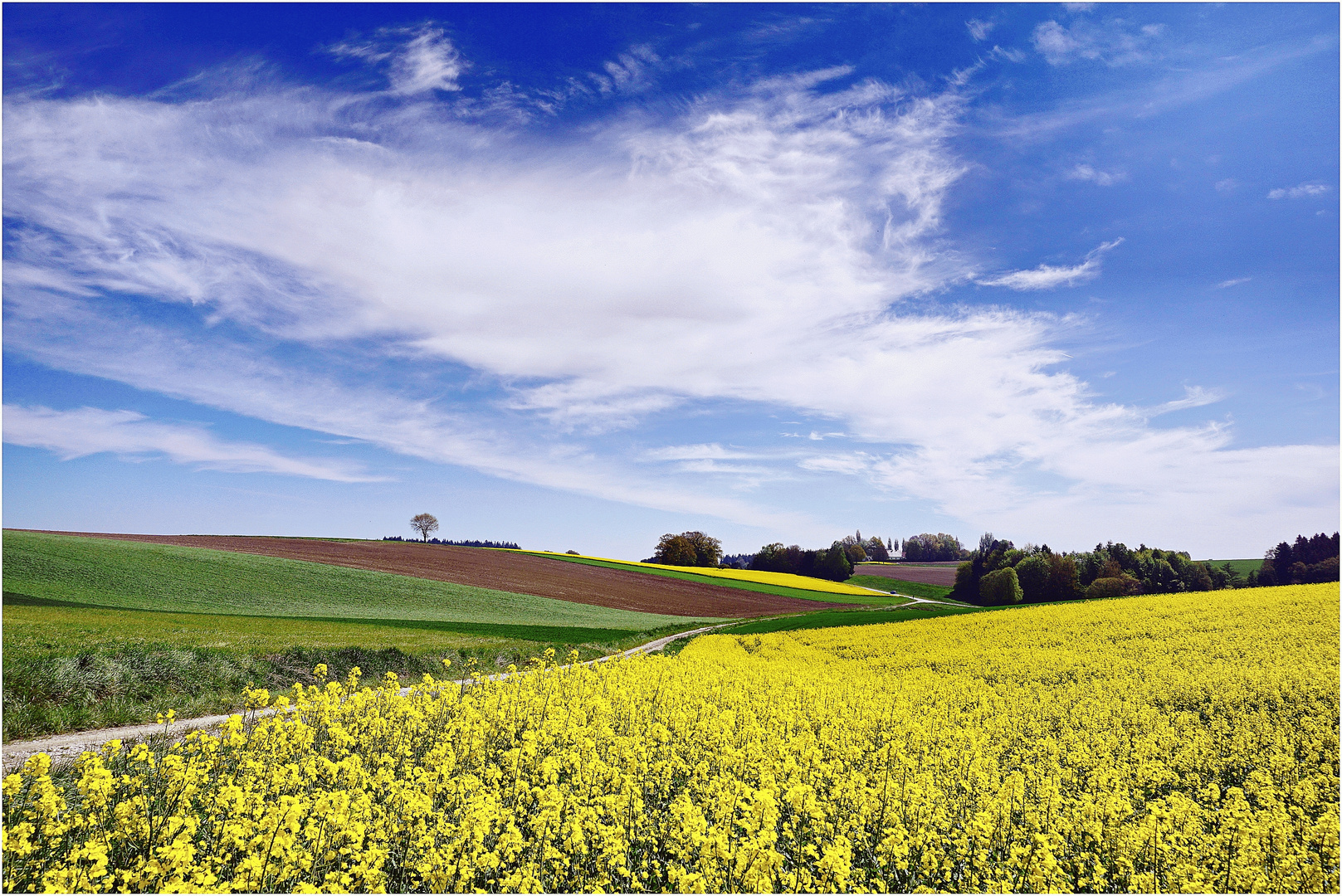 Frühlingsfarben