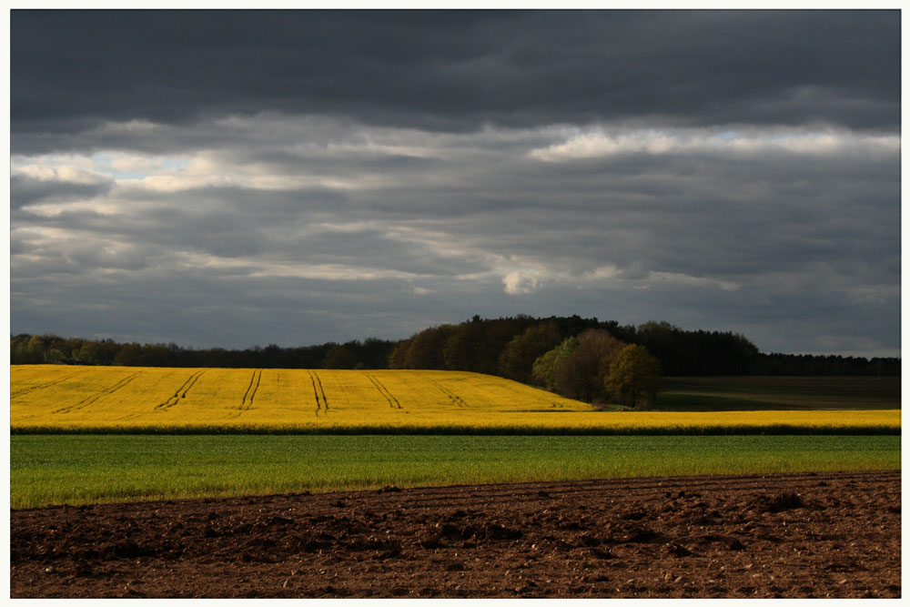 Frühlingsfarben