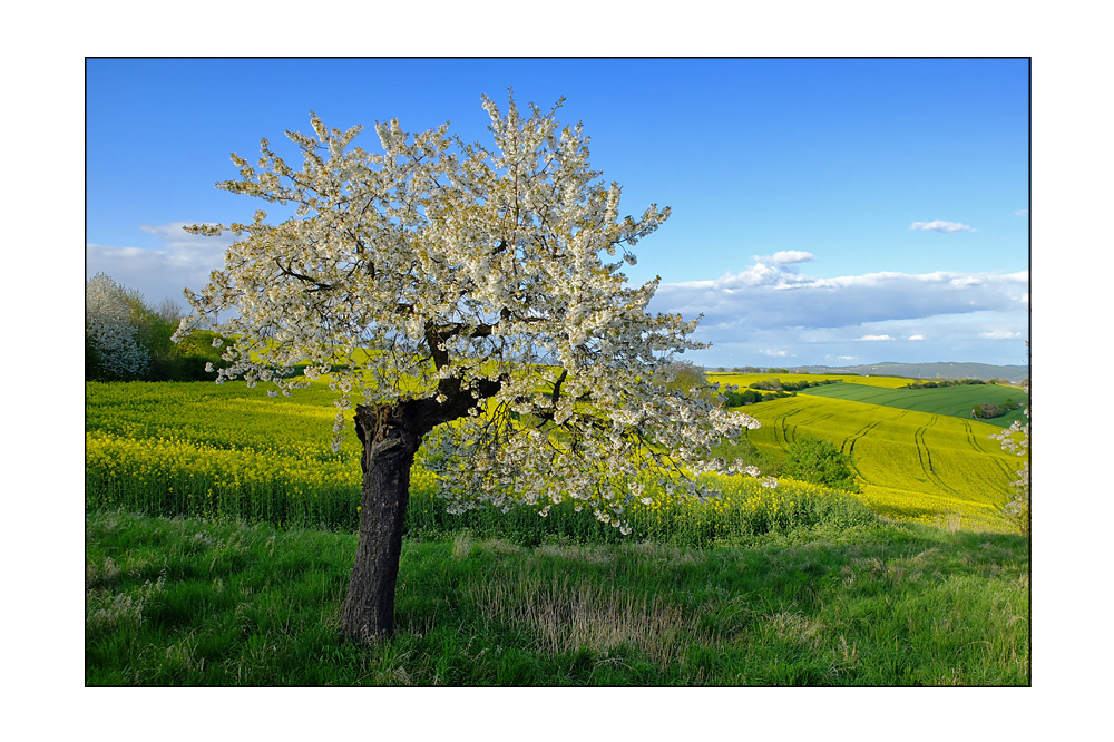 Frühlingsfarben