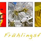 Frühlingsfarben