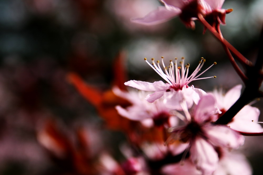 Frühlingsfarben