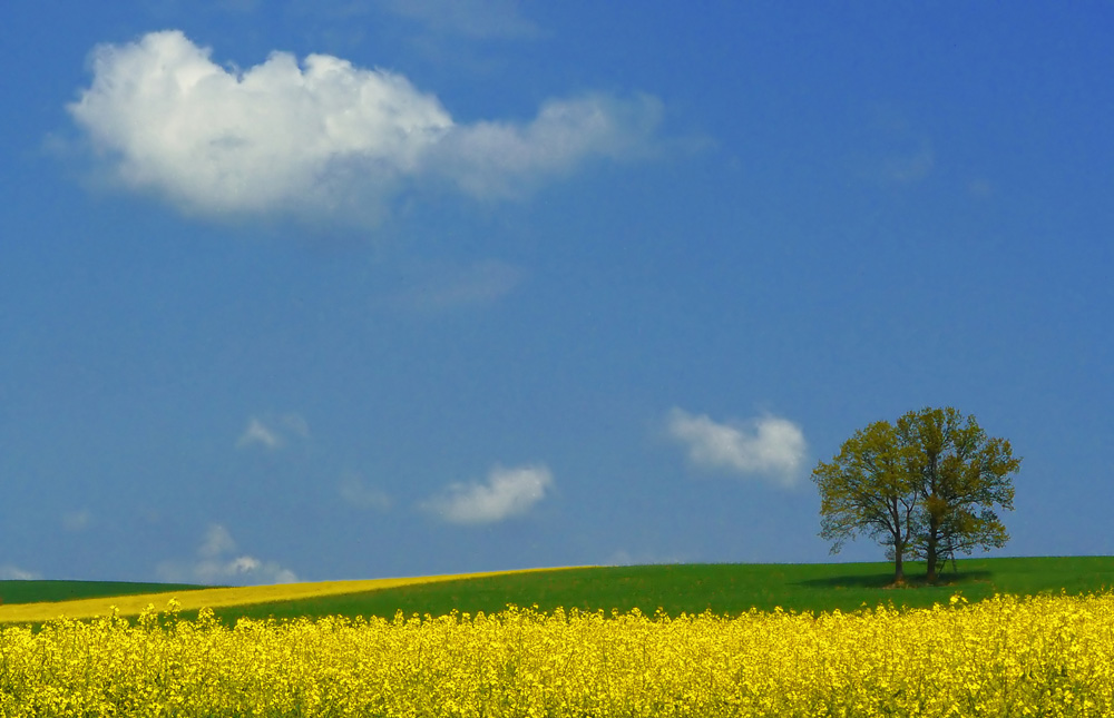 Frühlingsfarben