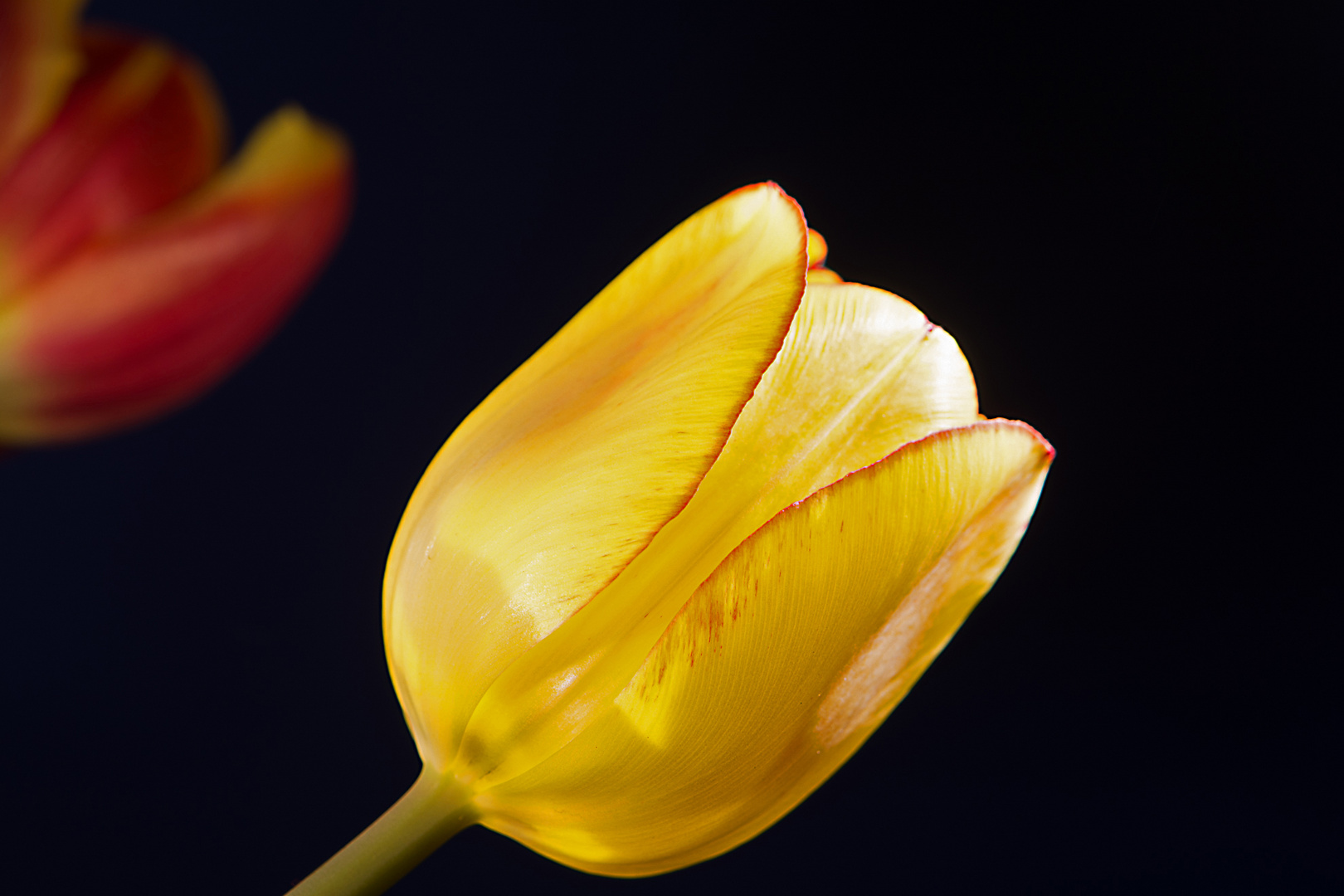 Frühlingsfarben für das Wohnzimmer