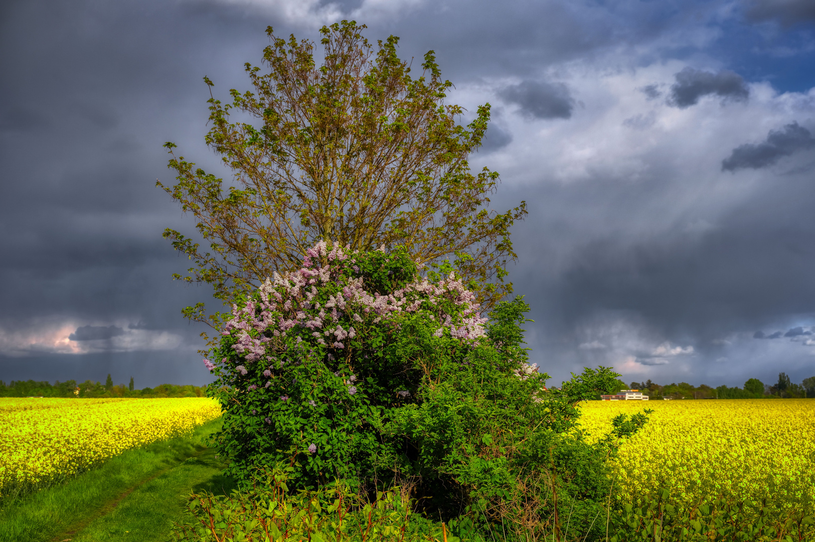 Frühlingsfarben im April