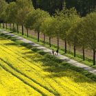 Frühlingsfarben im Münsterland