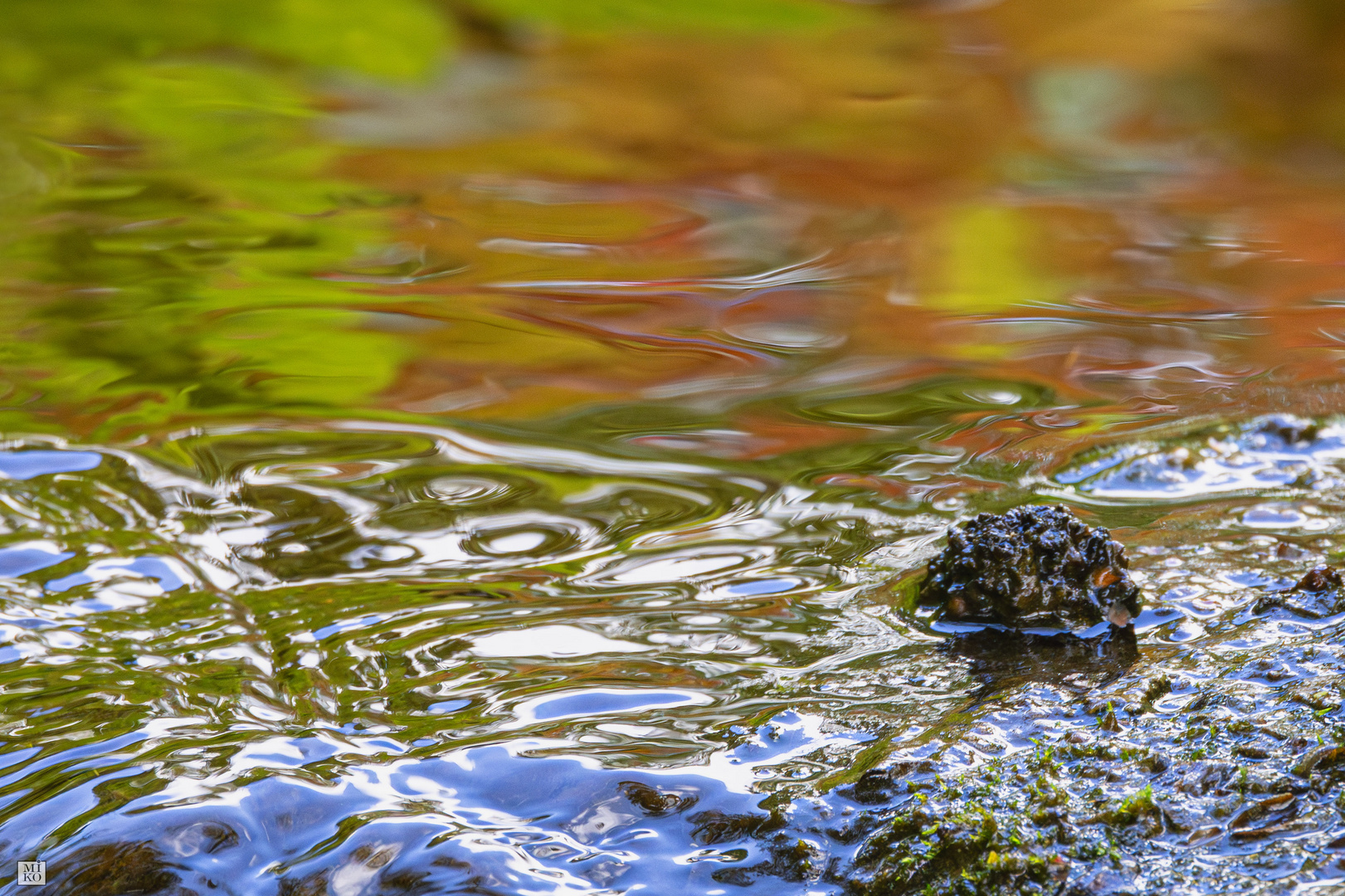 Frühlingsfarben im Wasser gespiegelt