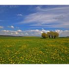 Frühlingsfarben in Mecklenburg