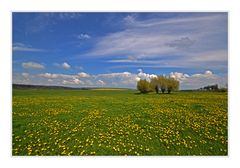 Frühlingsfarben in Mecklenburg