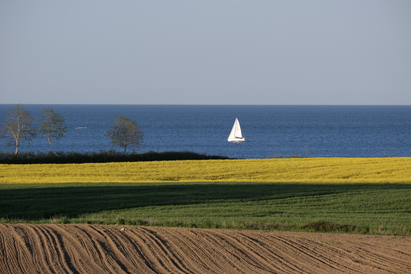 Frühlingsfarben satt