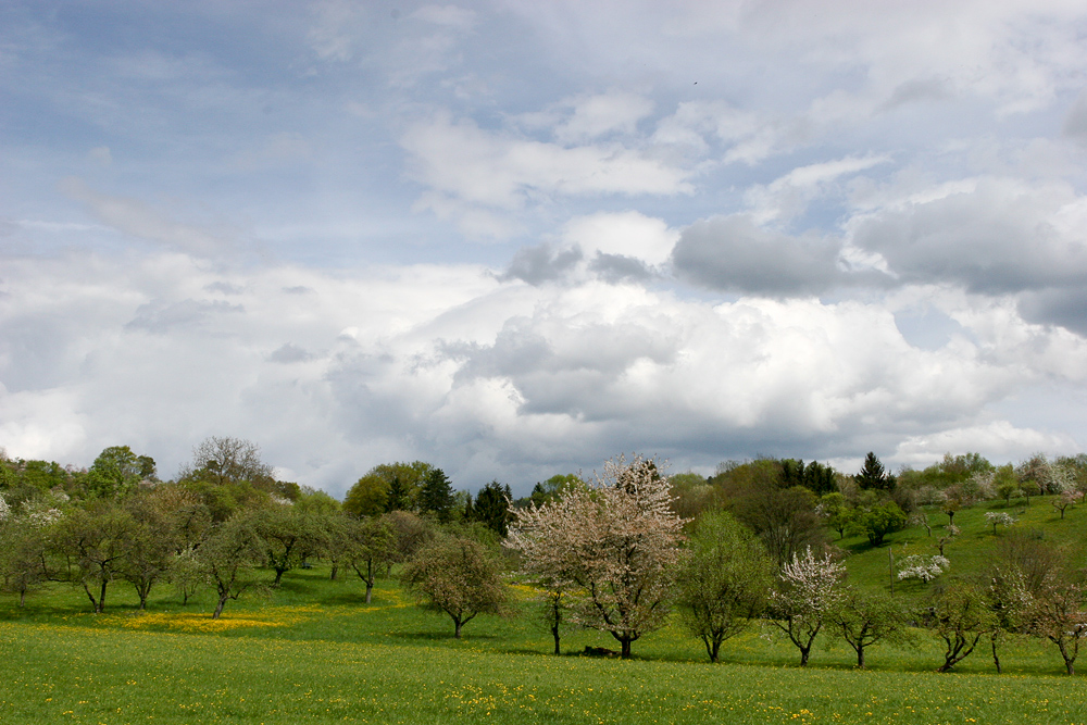 " Frühlingsfarben überziehen das Land "