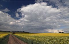 Frühlingsfarben....und