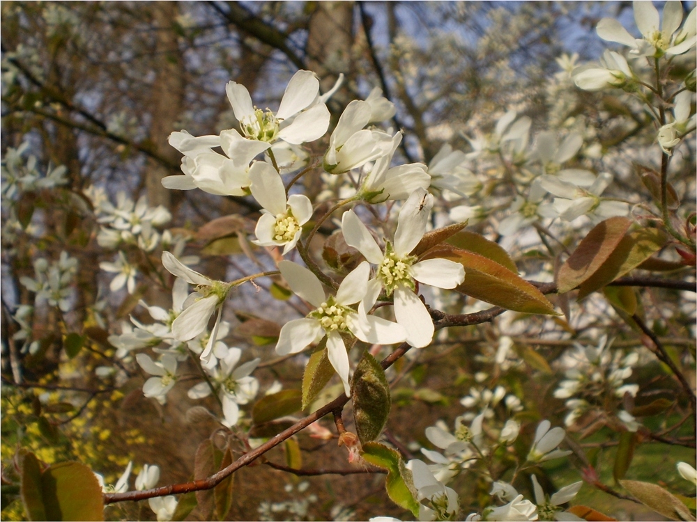 Frühlingsfeeling