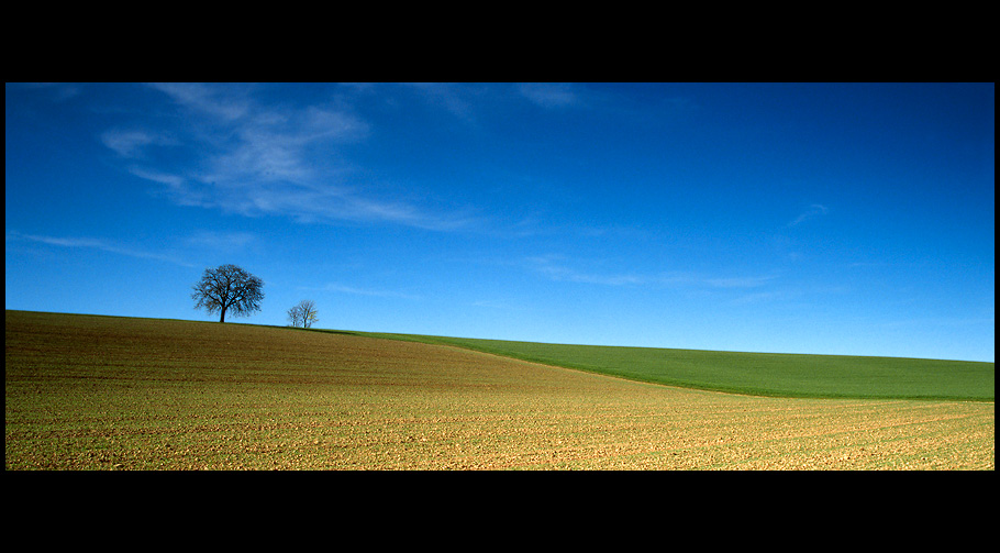 Frühlingsfelder 1