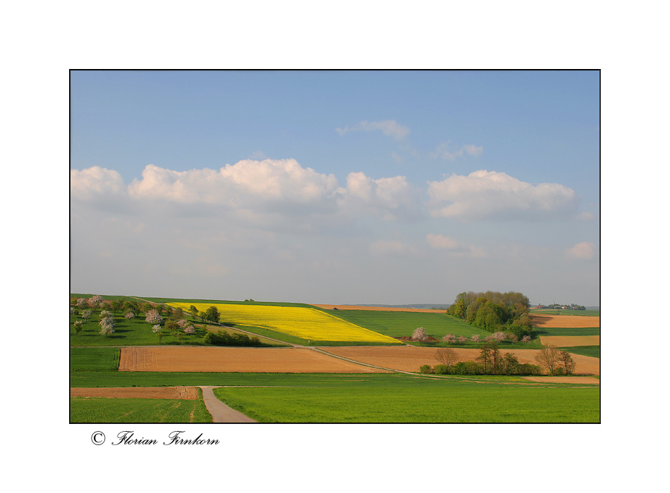 Frühlingsfelder