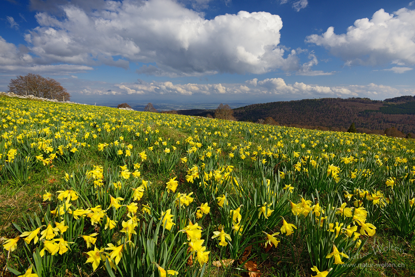 Frühlingsferienbeginn