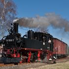 Frühlingsfest beim "Wilden Robert" II