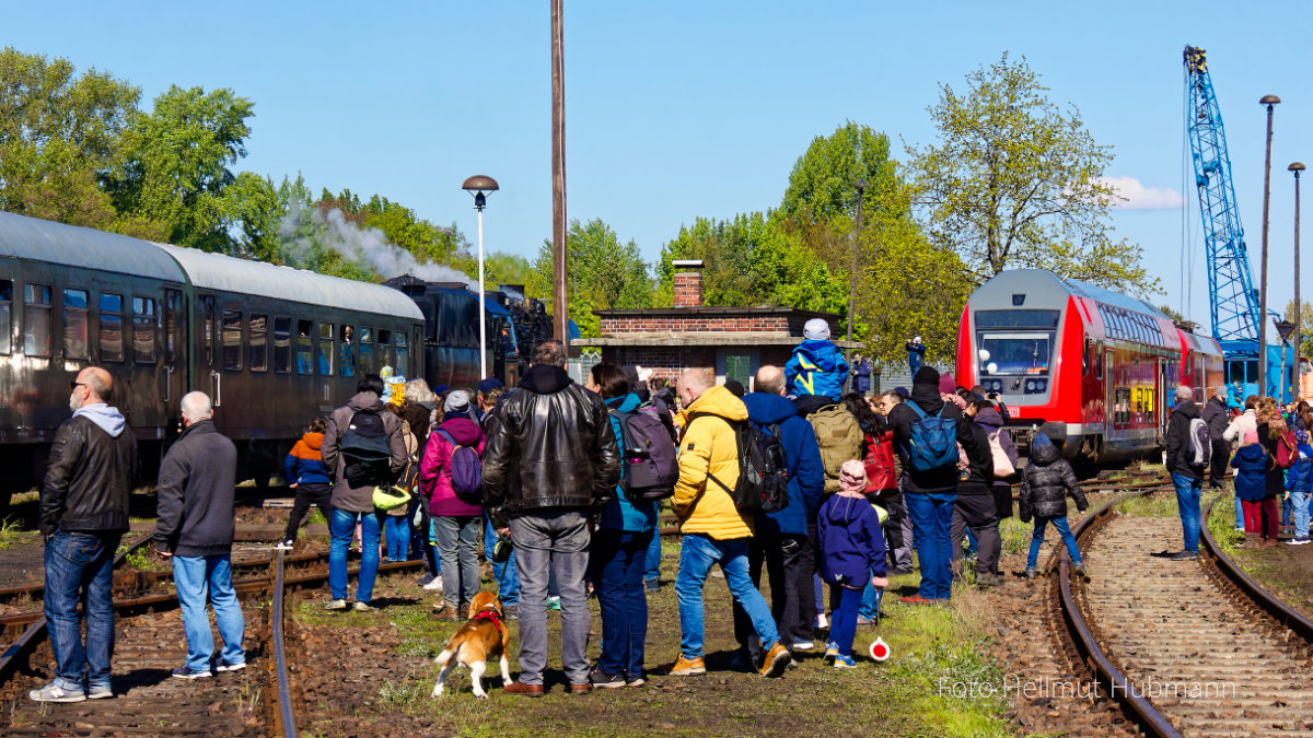 FRÜHLINGSFEST ZIEMLICH OHNE BLÜMSCHEN...