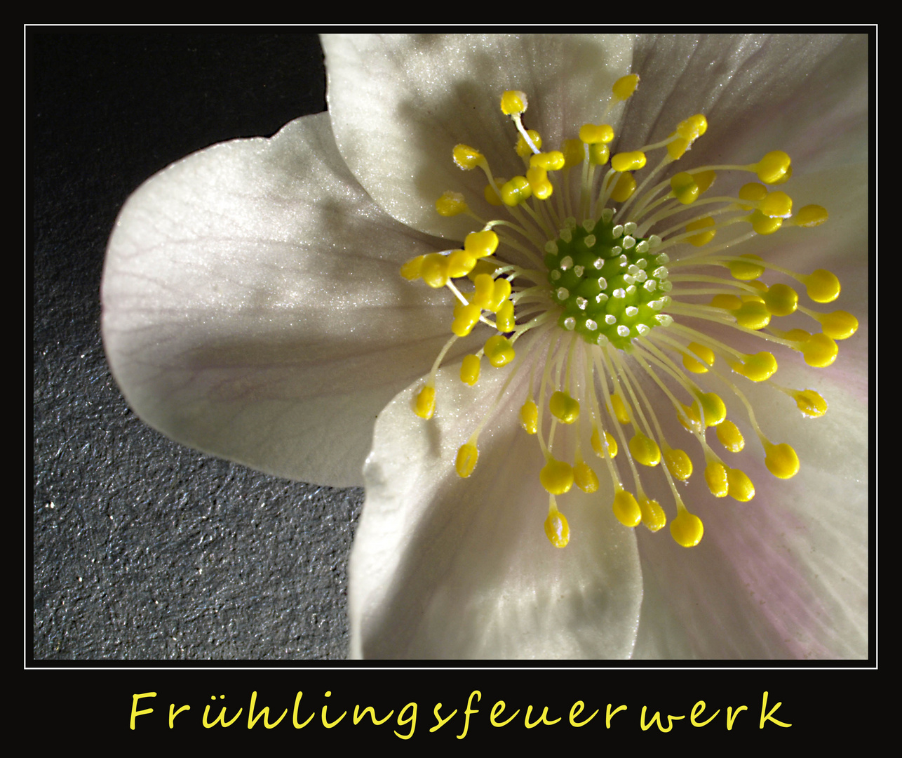 Frühlingsfeuerwerk