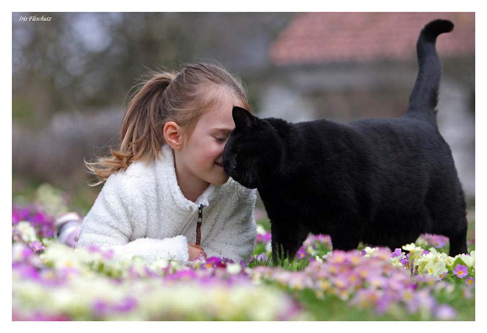 Frühlingsfotoshooting ( 2)