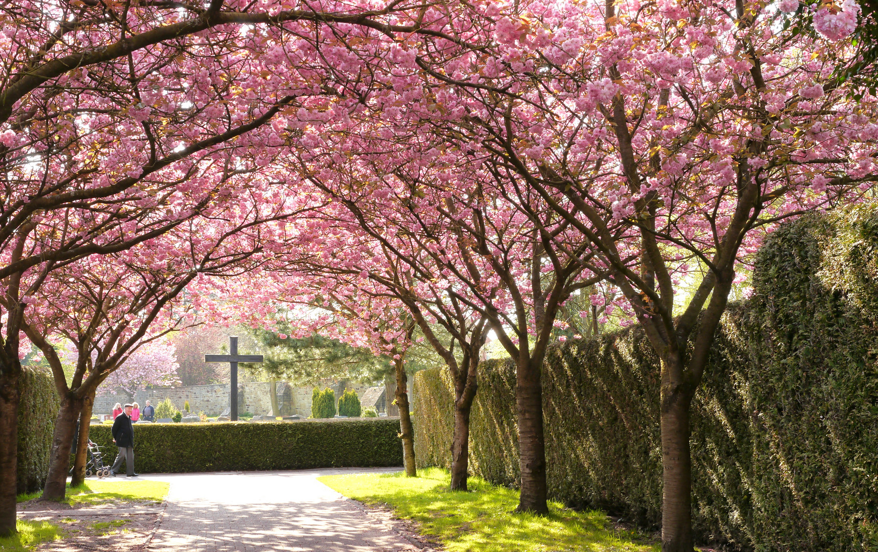 Frühlingsfriedhof