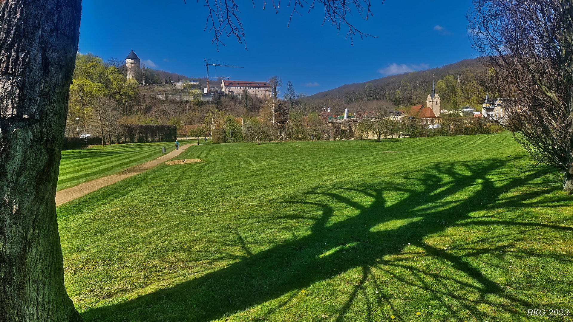 Frühlingsgaftes Schattenspiel 