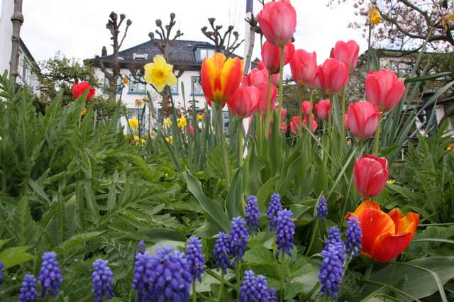 Frühlingsgarten