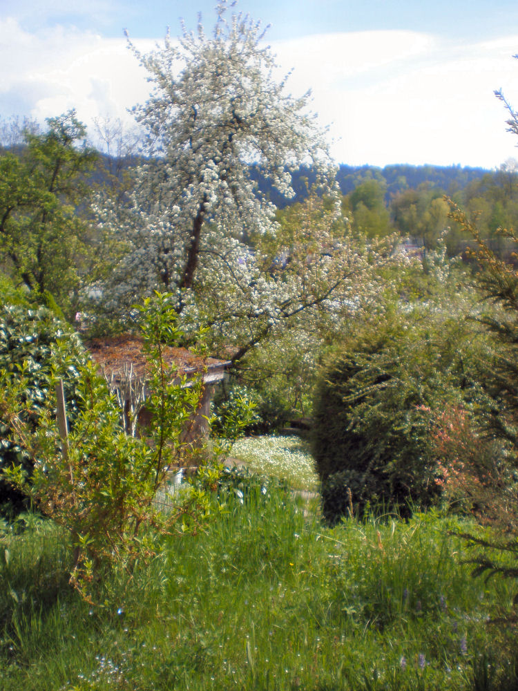 Frühlingsgarten