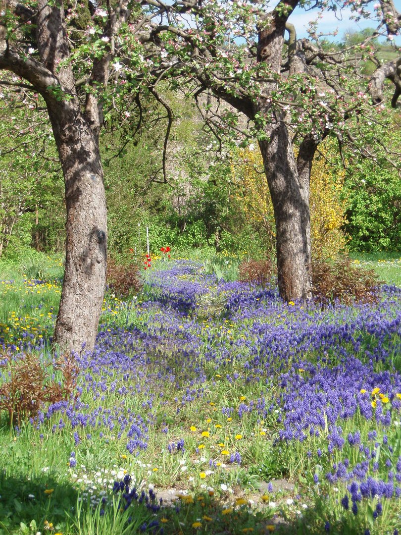 Frühlingsgarten