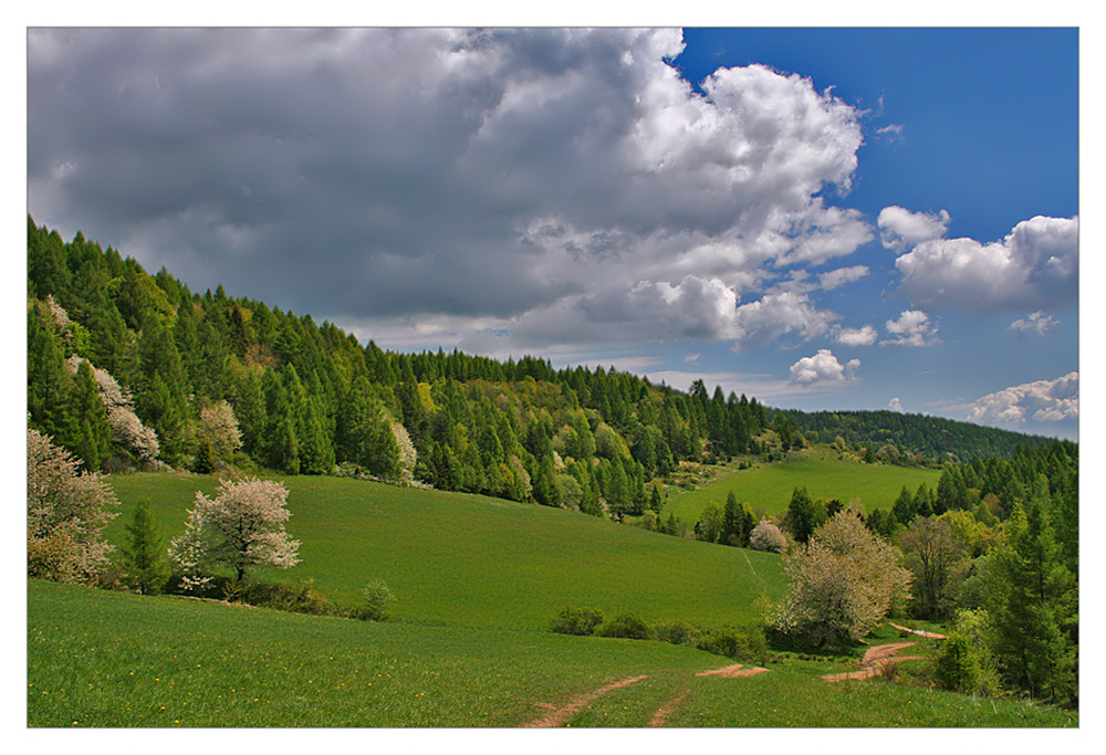 Frühlingsgefühl