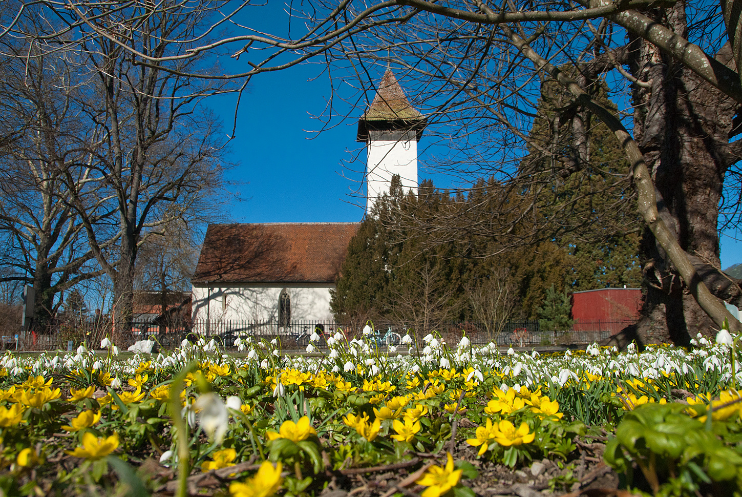 Frühlingsgefühle