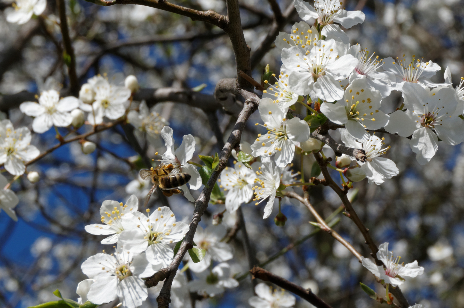 Frühlingsgefühle