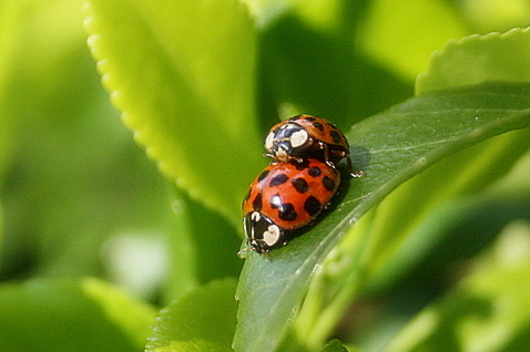 Frühlingsgefühle