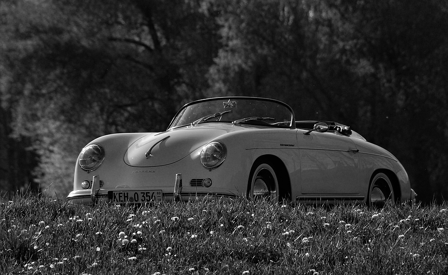 Frühlingsgefühle- 356 Speedster!